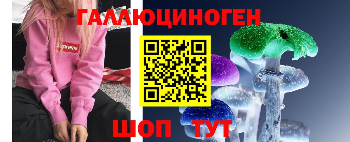 Галлюциногенные грибы Psilocybe Коряжма