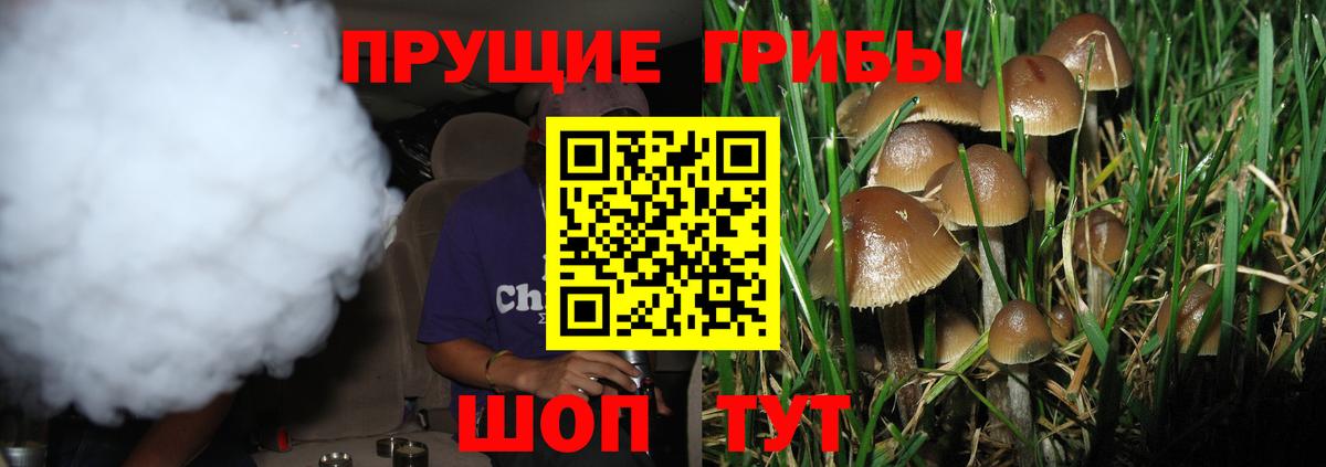 Псилоцибиновые грибы ЛСД  Вход с VPN  Коряжма 
